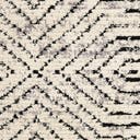 Rug Black and White Swatch link