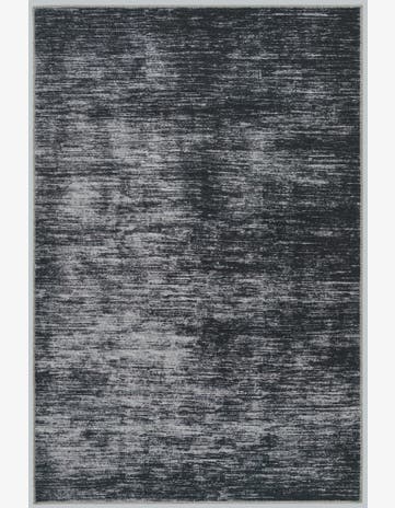4' x 6' Asha Rug