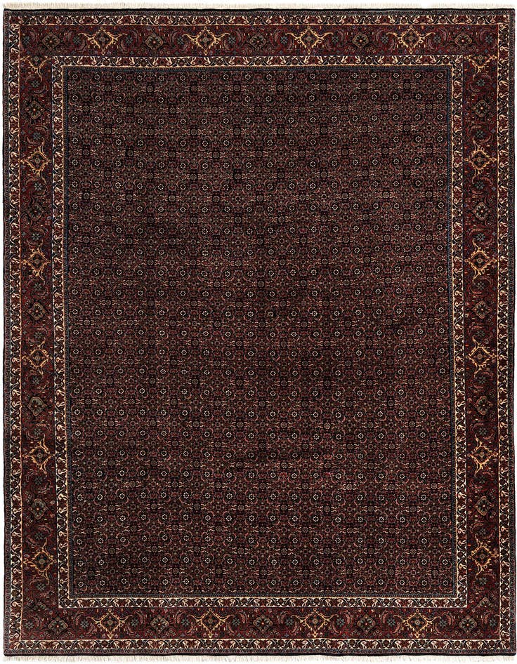 Detail image of 8' 2 x 11' 3 Bidjar Wool Rug