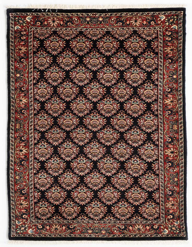 Detail image of 3' 3 x 6' 4 Bidjar Wool Rug