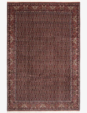 6' 8 x 9' 9 Bidjar Wool Rug