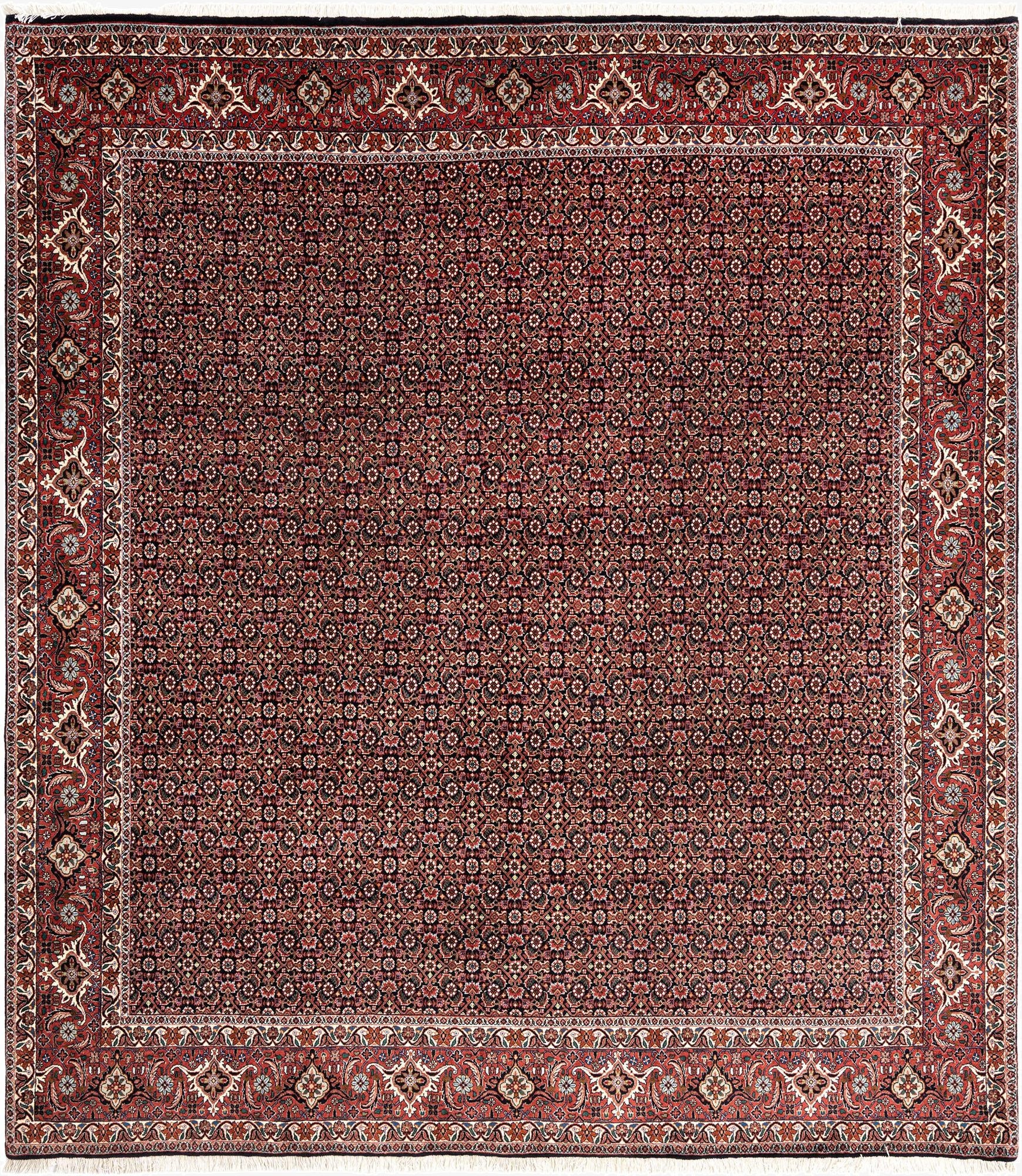 8' 5 x 9' 7 Bidjar Wool Rug