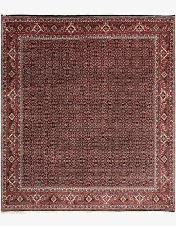8' 5 x 9' 7 Bidjar Wool Rug