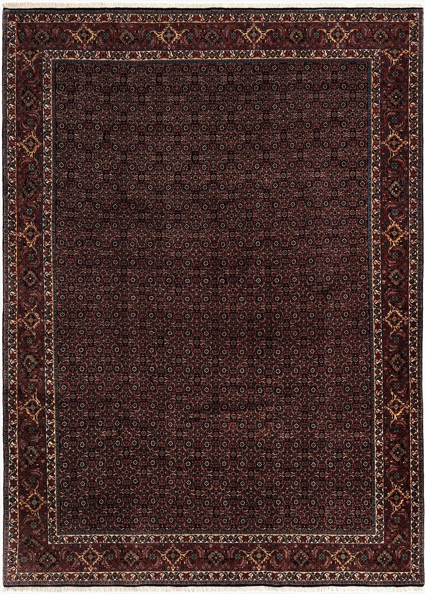 8' 2 x 11' 3 Bidjar Wool Rug