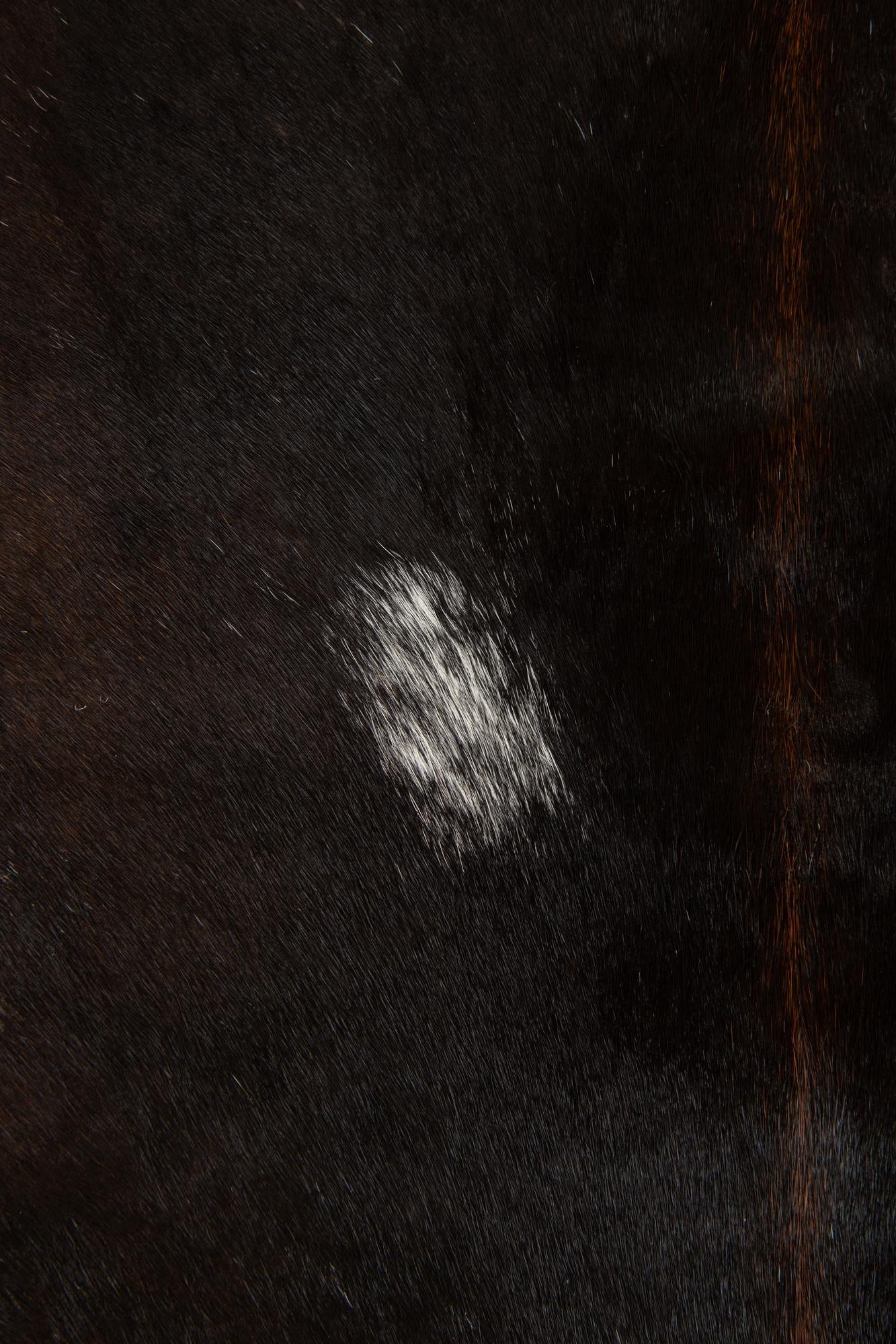 4' 5 x 5' 5 Cowhide Leather Rug