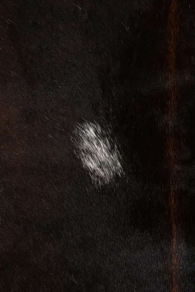 4' 5 x 5' 5 Cowhide Leather Rug