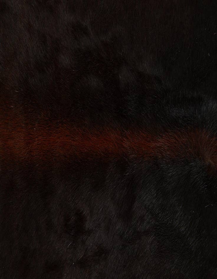 Detail image of 5' 6 x 6' 5 Cowhide Leather Rug