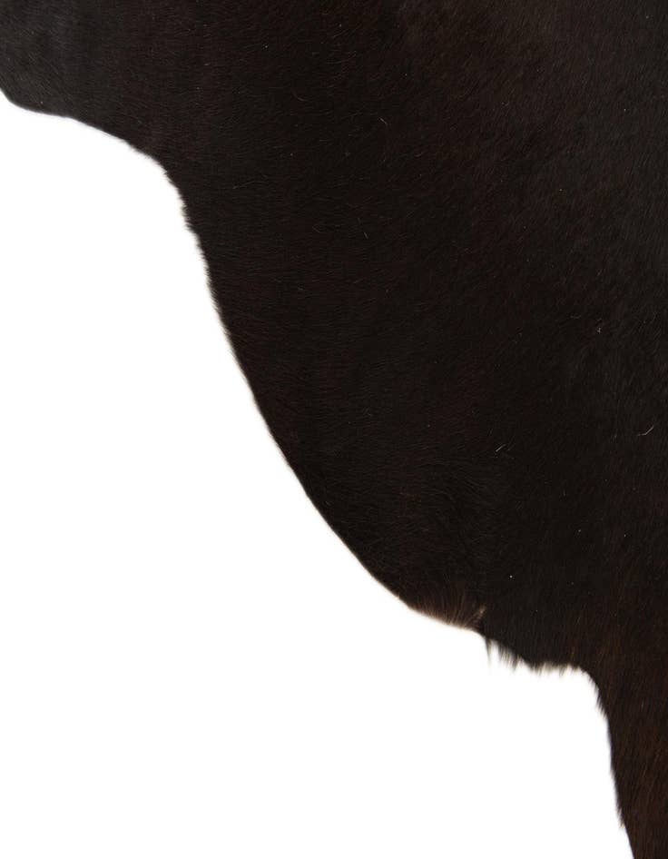 Detail image of 2' 1 x 2' 10 Cowhide Leather Rug