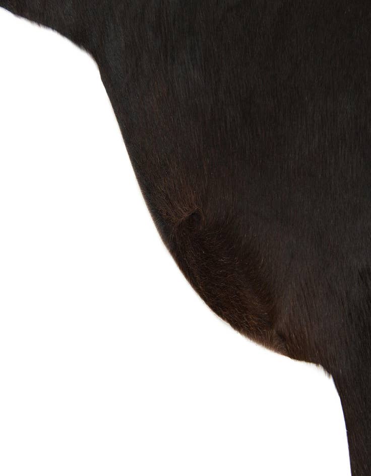 Detail image of 2' 1 x 2' 10 Cowhide Leather Rug