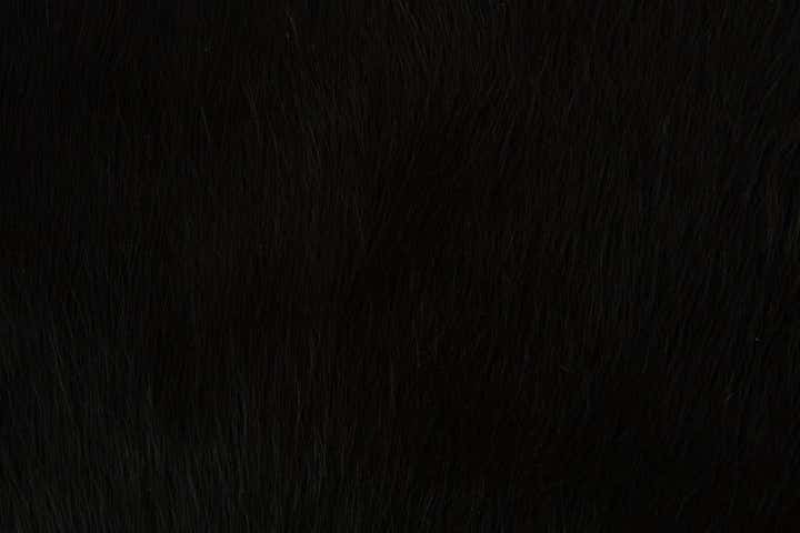 1' 8 x 2' 6 Cowhide Leather Rug