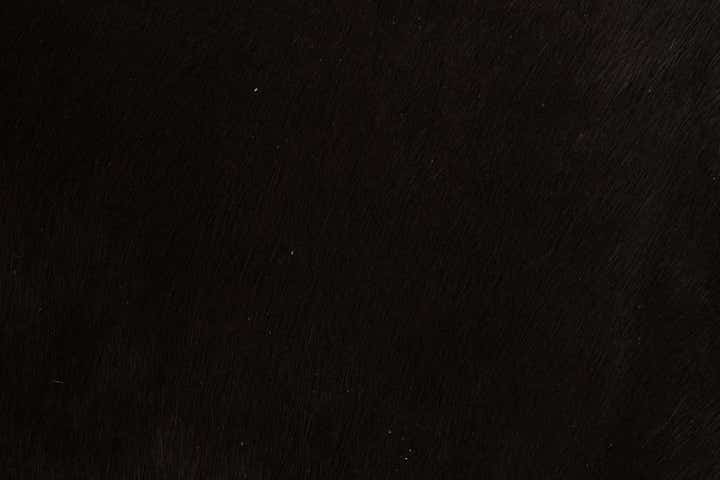 1' 8 x 2' 6 Cowhide Leather Rug