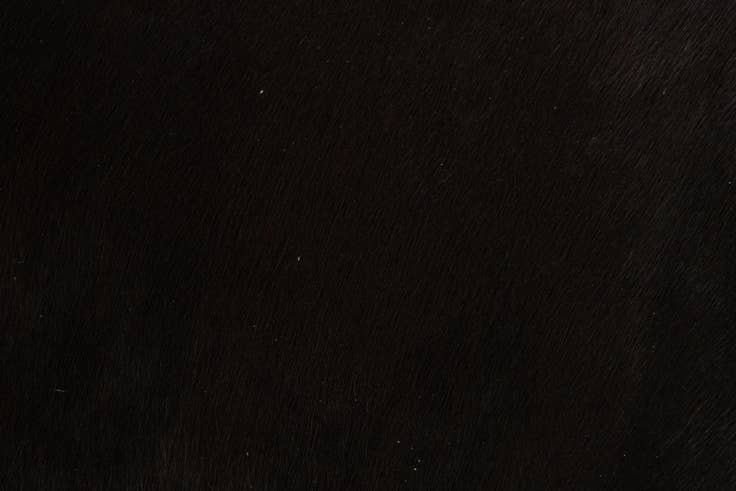 Detail image of 1' 8 x 2' 6 Cowhide Leather Rug