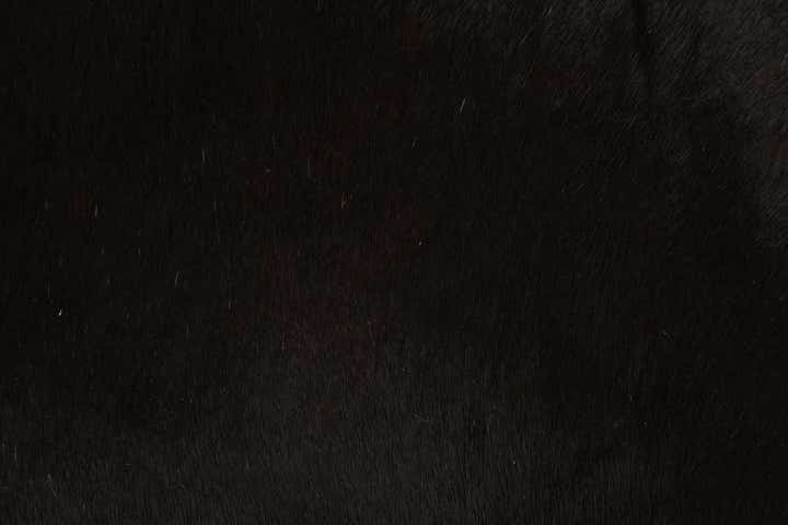 1' 8 x 2' 6 Cowhide Leather Rug