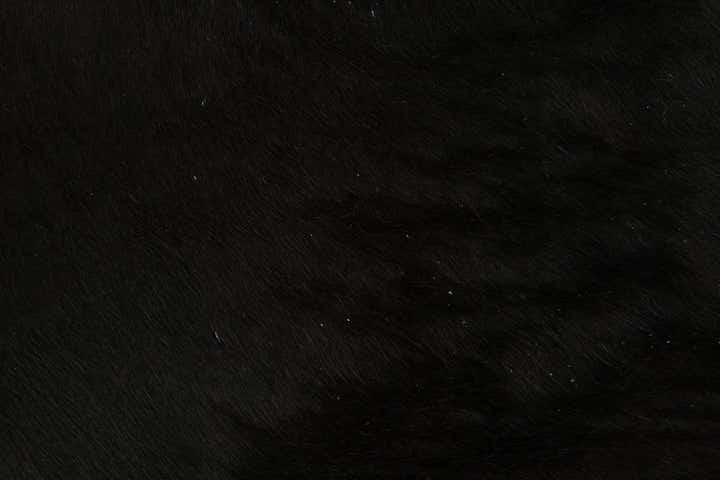 1' 8 x 2' 6 Cowhide Leather Rug