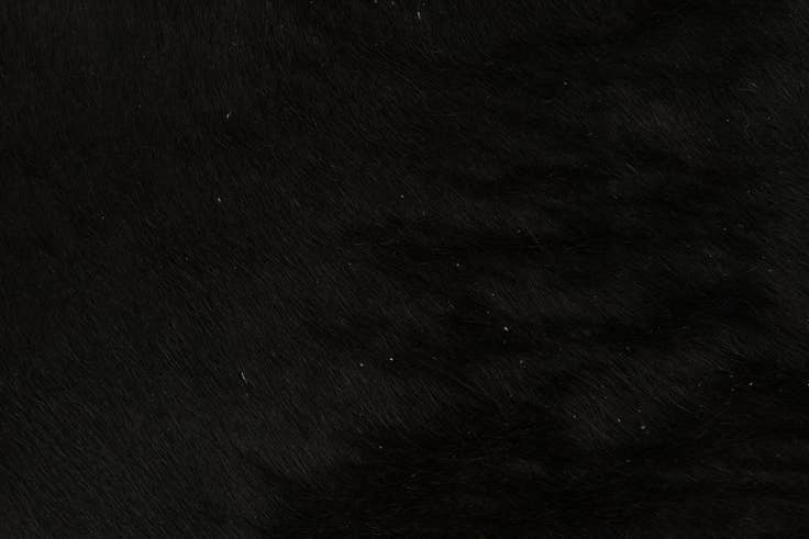 Detail image of 1' 8 x 2' 6 Cowhide Leather Rug