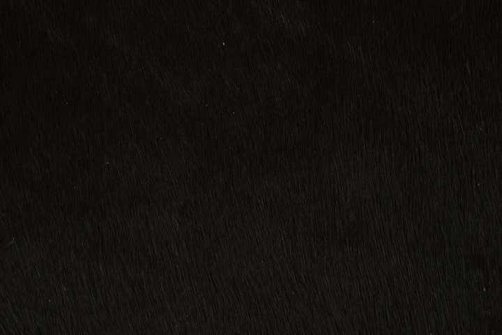 1' 8 x 2' 6 Cowhide Leather Rug