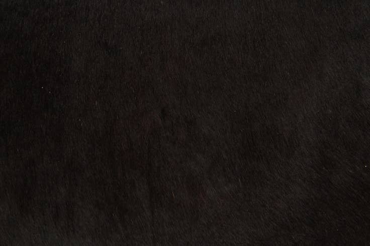 Detail image of 1' 8 x 2' 6 Cowhide Leather Rug