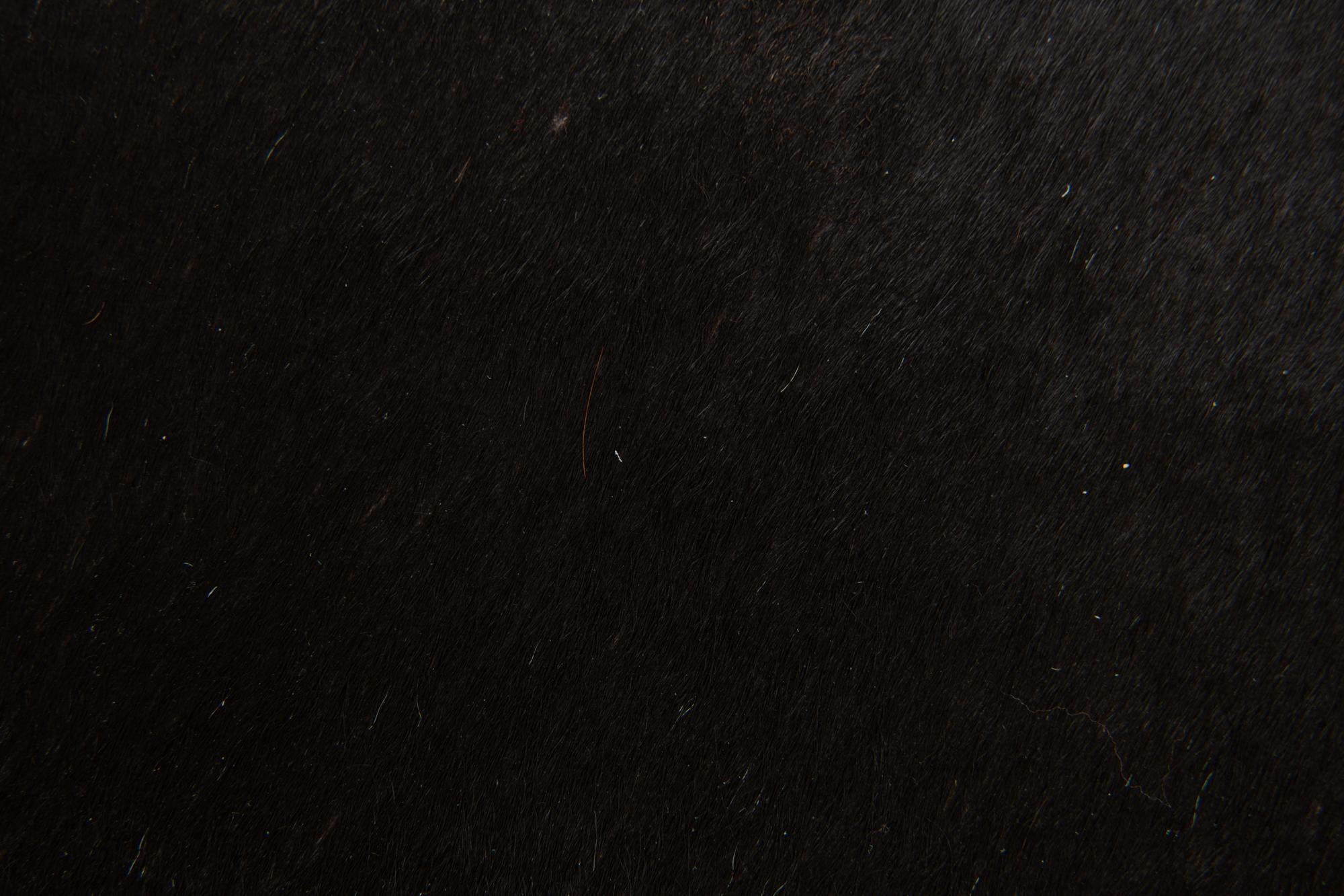 1' 8 x 2' 7 Cowhide Leather Rug