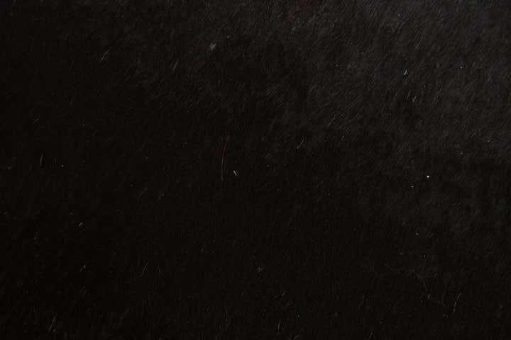 1' 8 x 2' 7 Cowhide Leather Rug