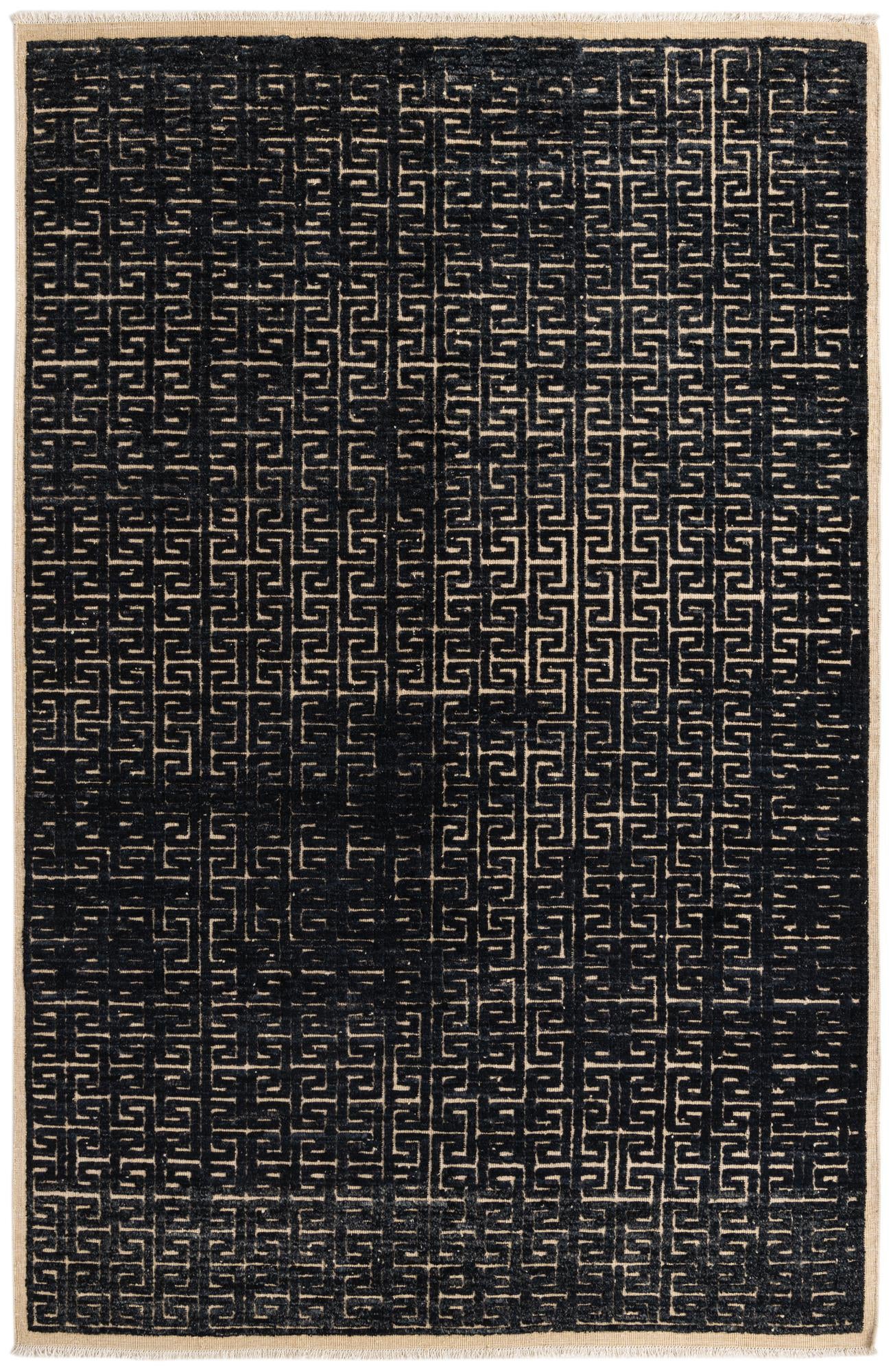 6' 7 x 10' Hand Knotted Darya Wool Rug