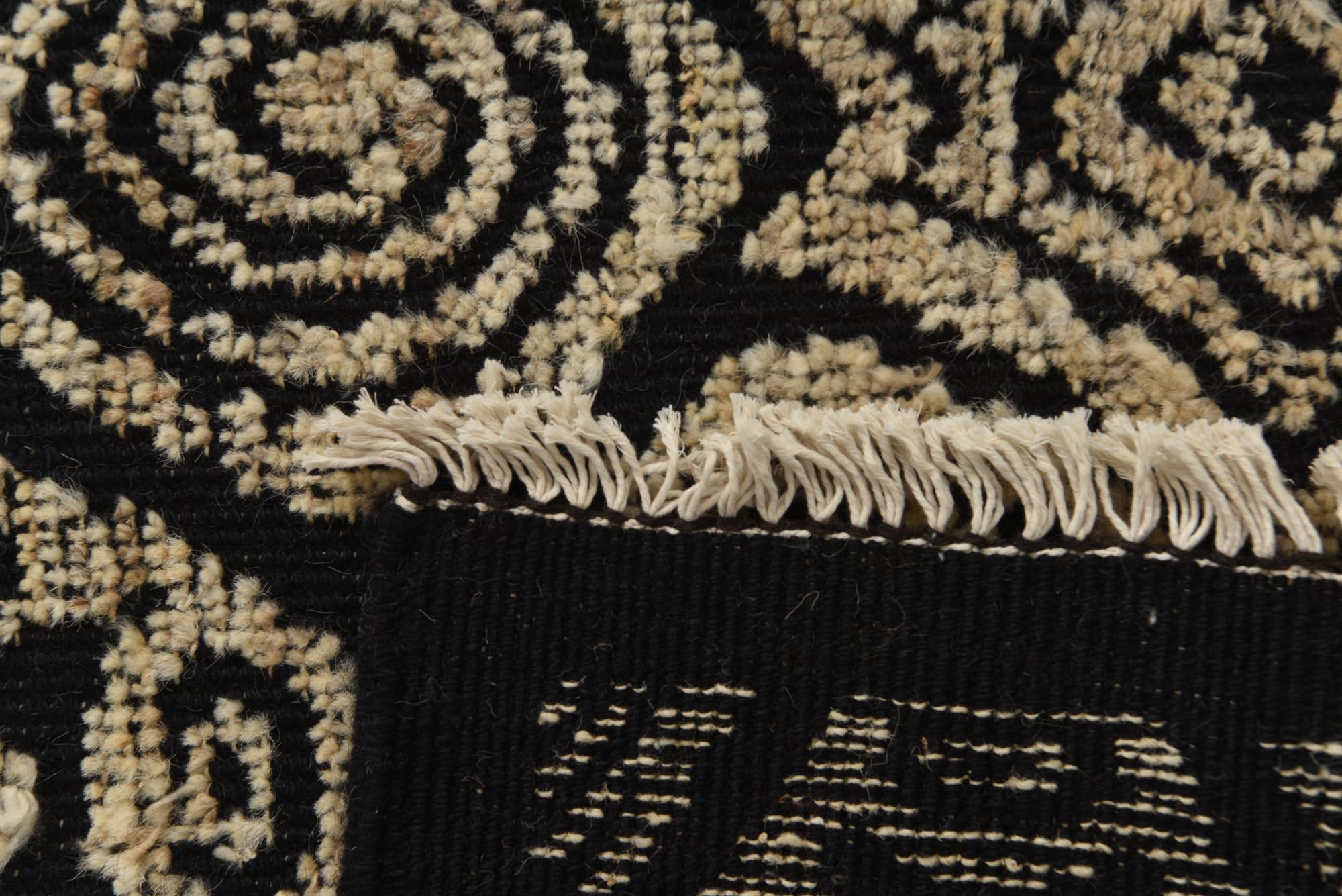 9' 1 x 12' 5 Hand Knotted Darya Wool Rug