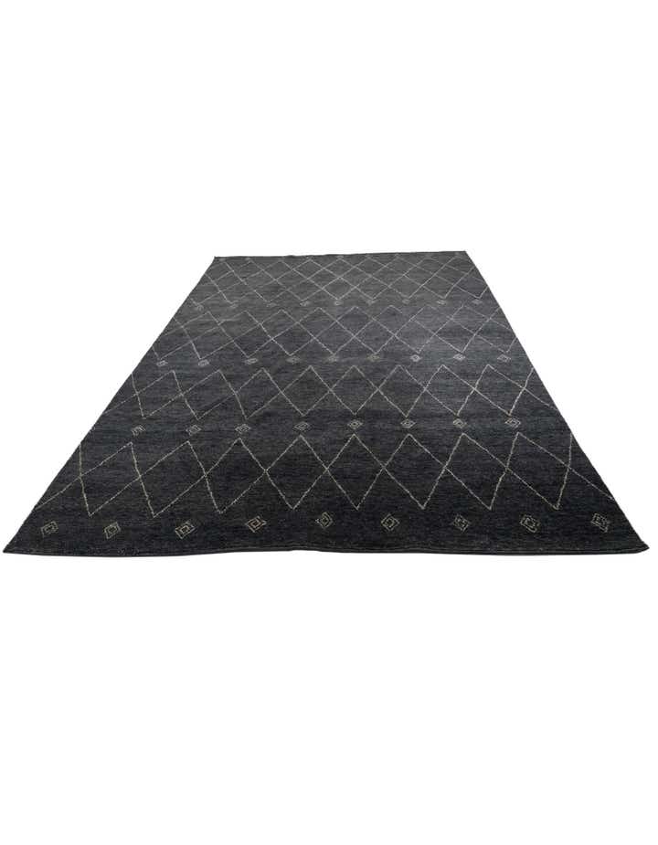 9' 7 x 13' Hand Knotted Darya Wool Rug