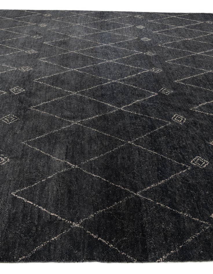 Detail image of 9' 7 x 13'  Hand Knotted Darya Wool Rug