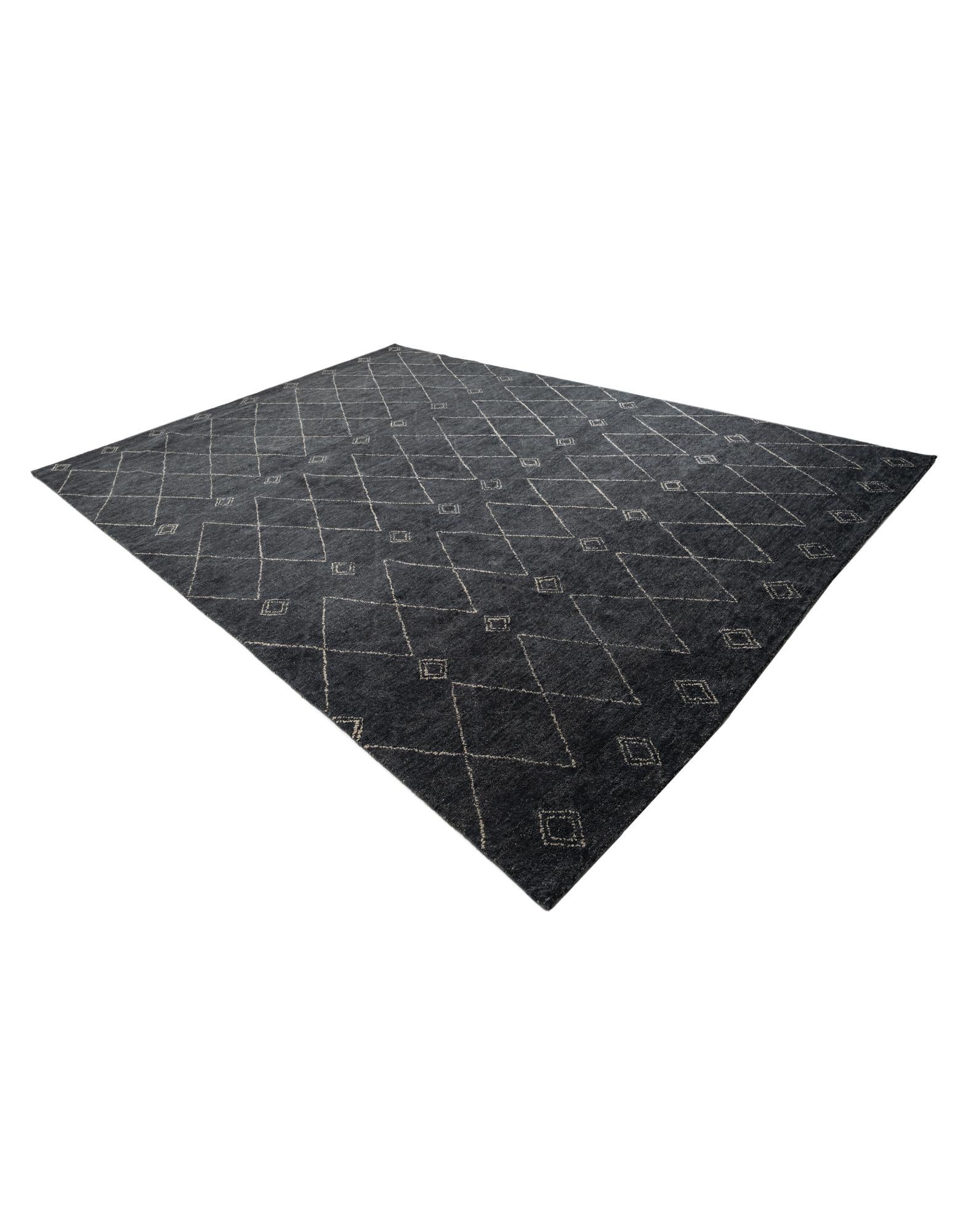 9' 8 x 13' 4 Hand Knotted Darya Wool Rug