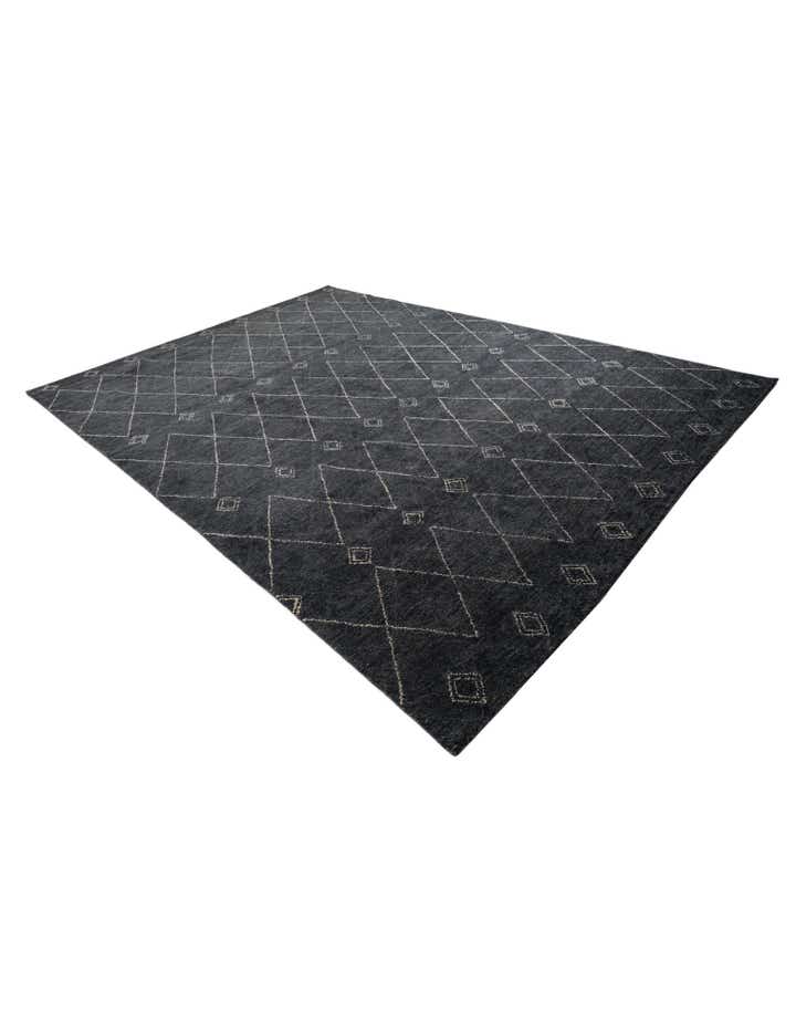 9' 8 x 13' 4 Hand Knotted Darya Wool Rug