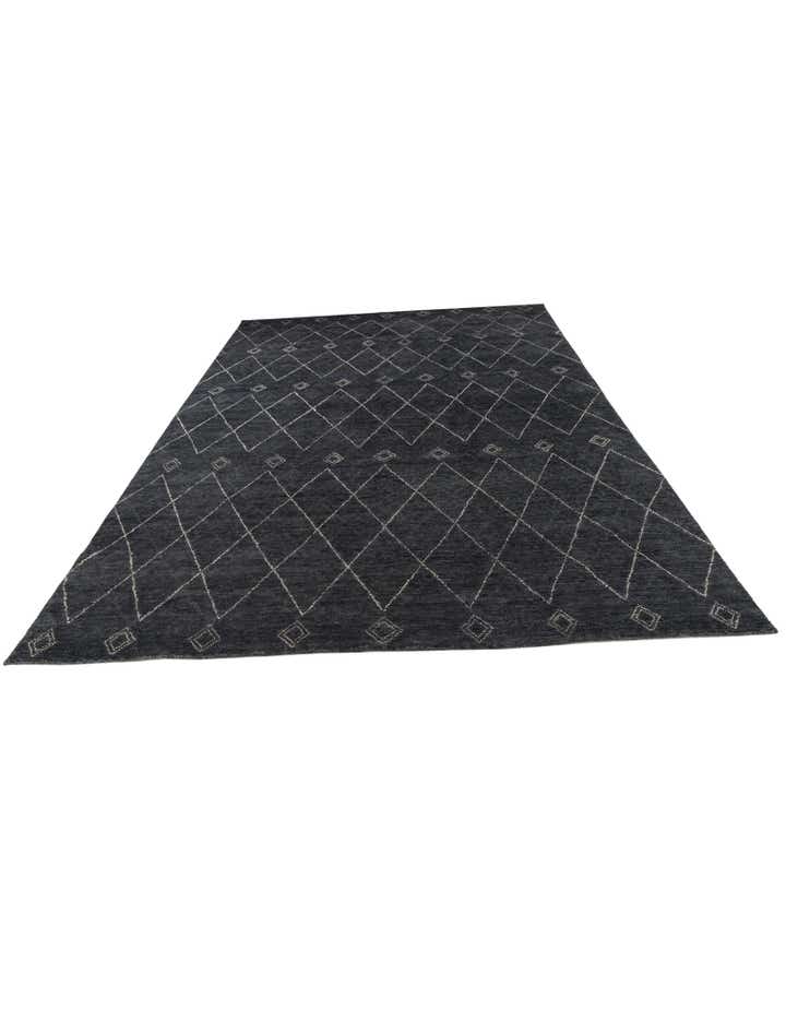 9' 8 x 13' 4 Hand Knotted Darya Wool Rug