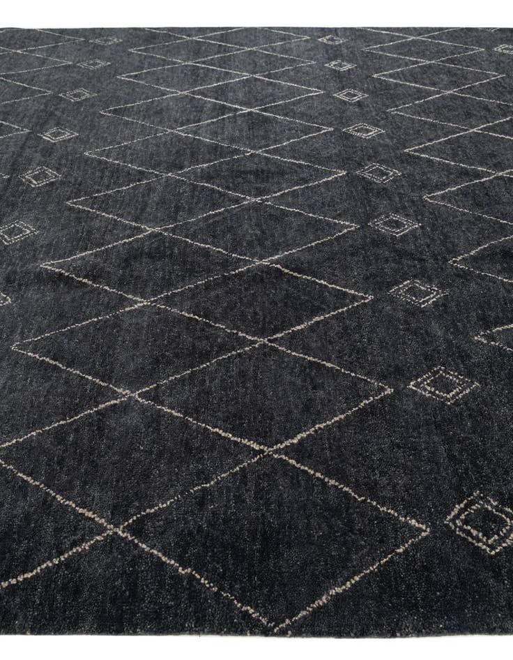 Detail image of 9' 8 x 13' 4  Hand Knotted Darya Wool Rug