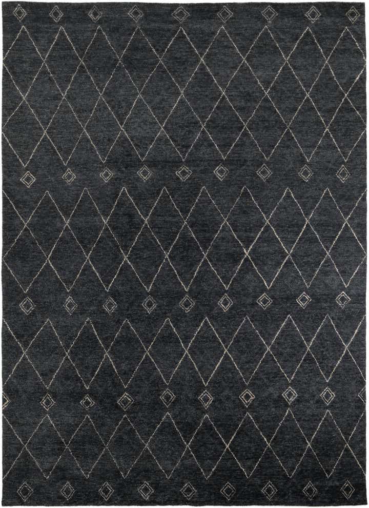 9' 8 x 13' 4 Hand Knotted Darya Wool Rug