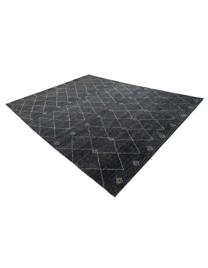 9' 2 x 11' 10 Hand Knotted Darya Wool Rug