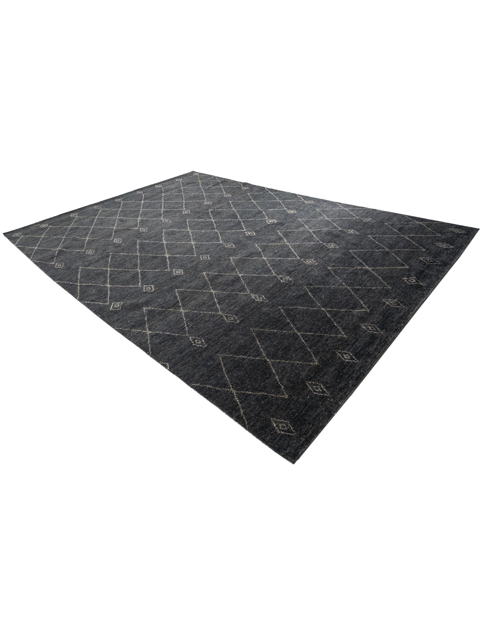 9' 5 x 13' 9 Hand Knotted Darya Wool Rug