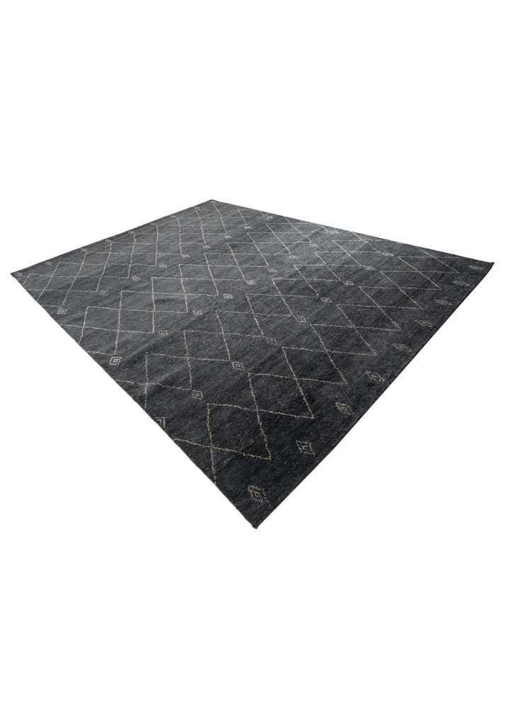 9' 3 x 12' 4 Hand Knotted Darya Wool Rug