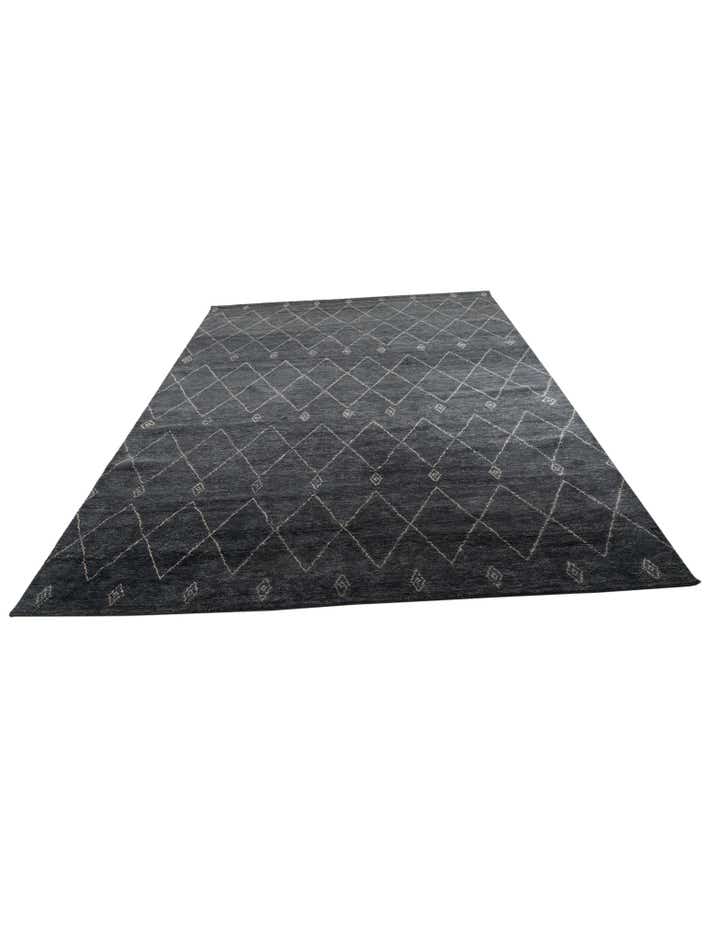 9' 3 x 12' 4 Hand Knotted Darya Wool Rug