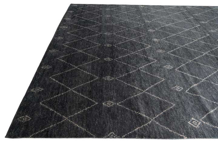 9' 3 x 12' 4 Hand Knotted Darya Wool Rug
