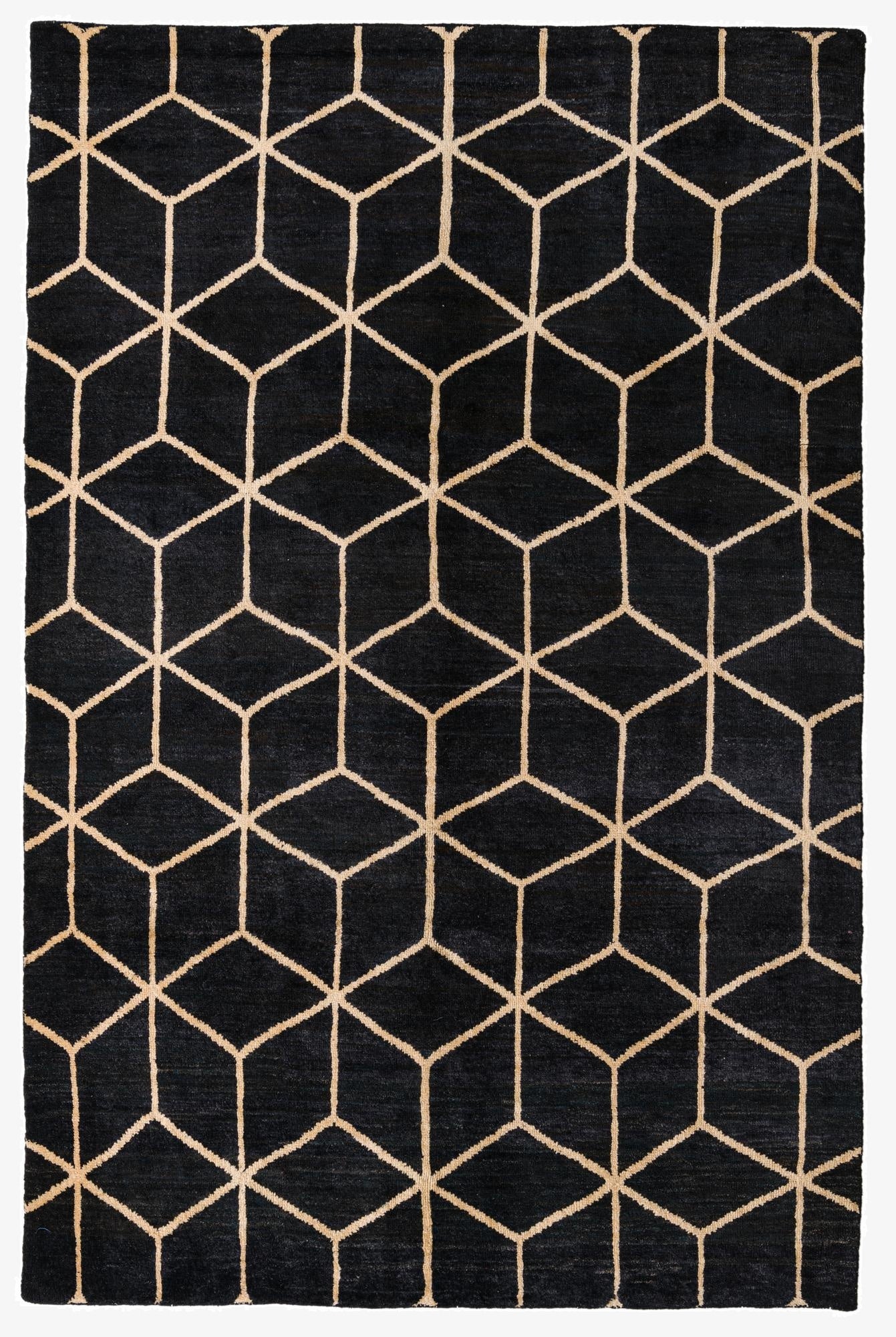 6' 9 x 10' 4  Hand Knotted Darya Wool Rug