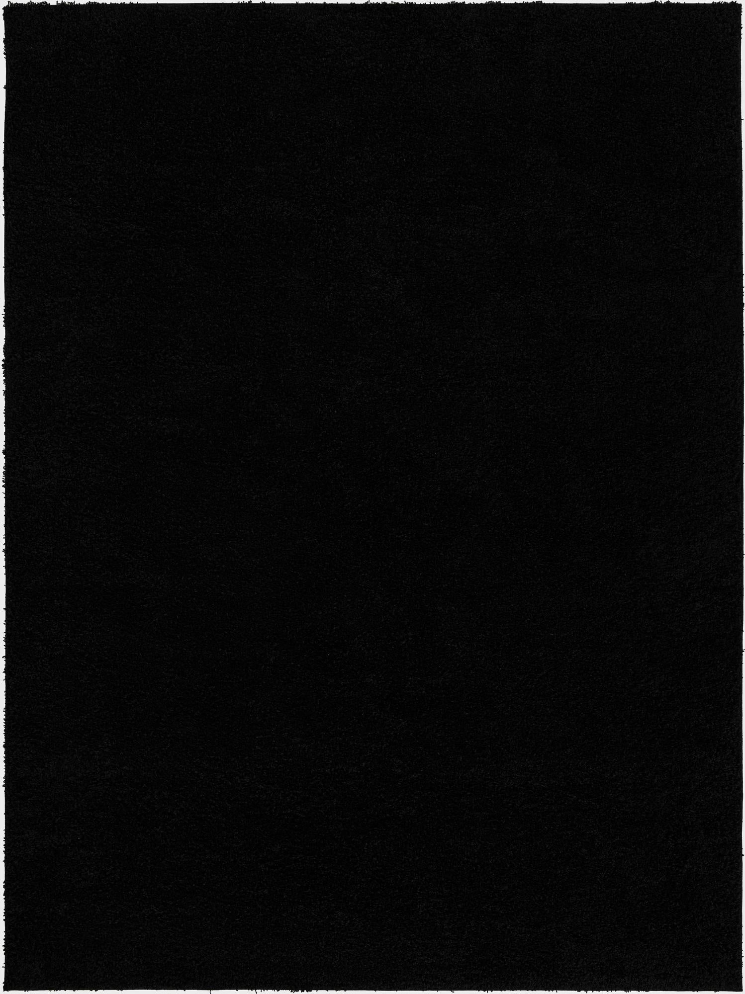 Primary image 10' x 13' Everyday Shag Rug