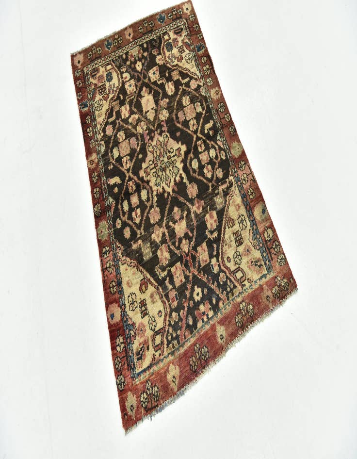 Detail image of 2' 9 x 4' 3 Hand Knotted Hamedan Persian Wool Rug