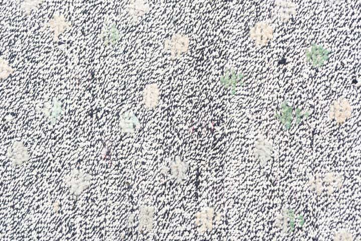 5' 3 x 7' Hand Knotted Modern Ziegler Wool Rug