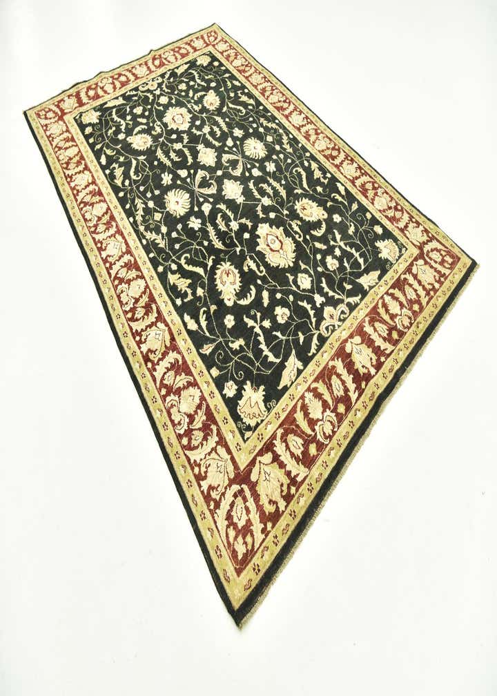 6' 7 x 10' Hand Knotted Peshawar Ziegler Rug