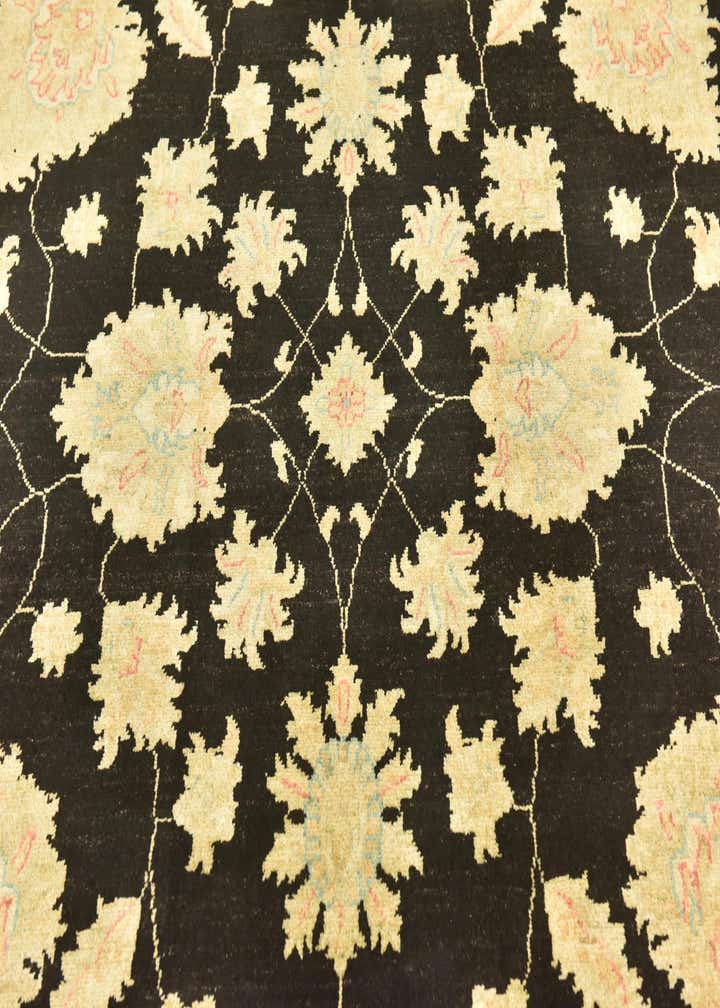 6' 7 x 9' 7 Hand Knotted Peshawar Ziegler Rug