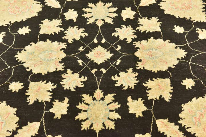 6' 7 x 9' 7 Hand Knotted Peshawar Ziegler Rug
