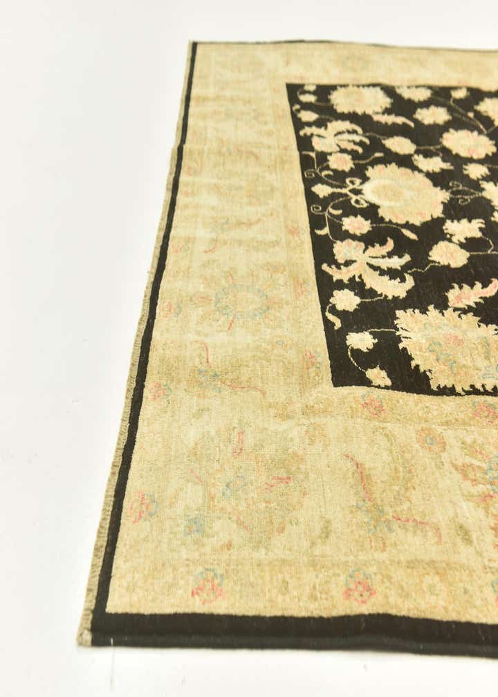 6' 7 x 9' 7 Hand Knotted Peshawar Ziegler Rug