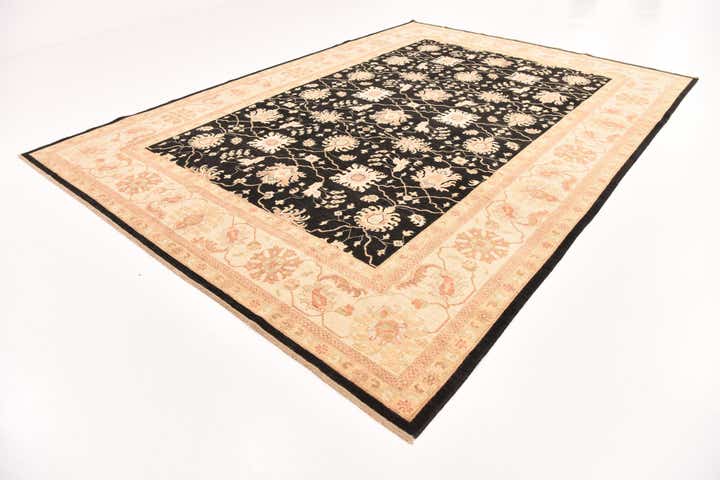 8' 11 x 12' 7 Hand Knotted Peshawar Ziegler Rug