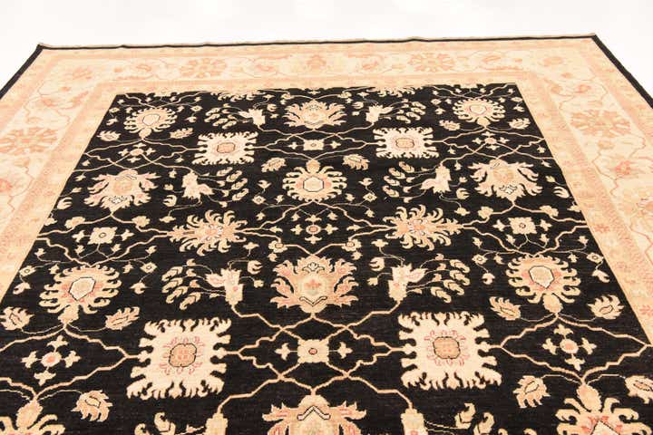 8' 11 x 12' 7 Hand Knotted Peshawar Ziegler Rug
