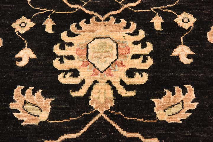8' 11 x 12' 7 Hand Knotted Peshawar Ziegler Rug
