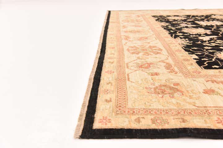 8' 11 x 12' 7 Hand Knotted Peshawar Ziegler Rug