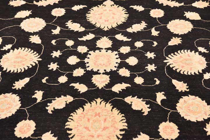 8' 4 x 10' Hand Knotted Peshawar Ziegler Rug
